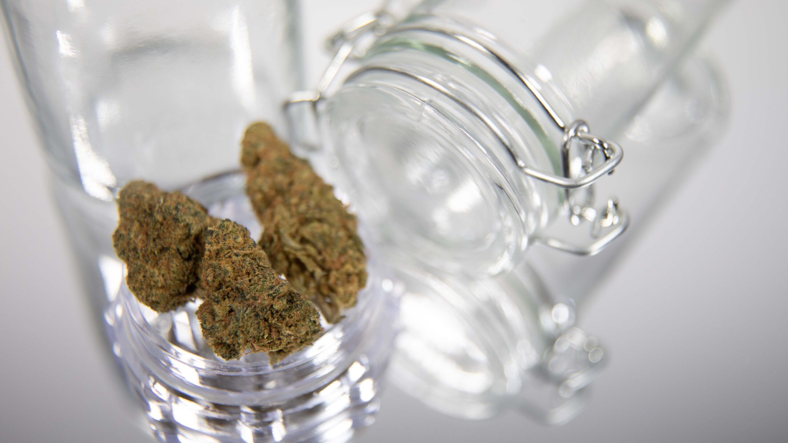 Terpenes in Medicinal Cannabis for Chronic Pain Relief